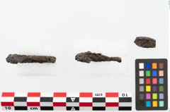 Foto von Eisenring (NHMW-PRAE-002287)